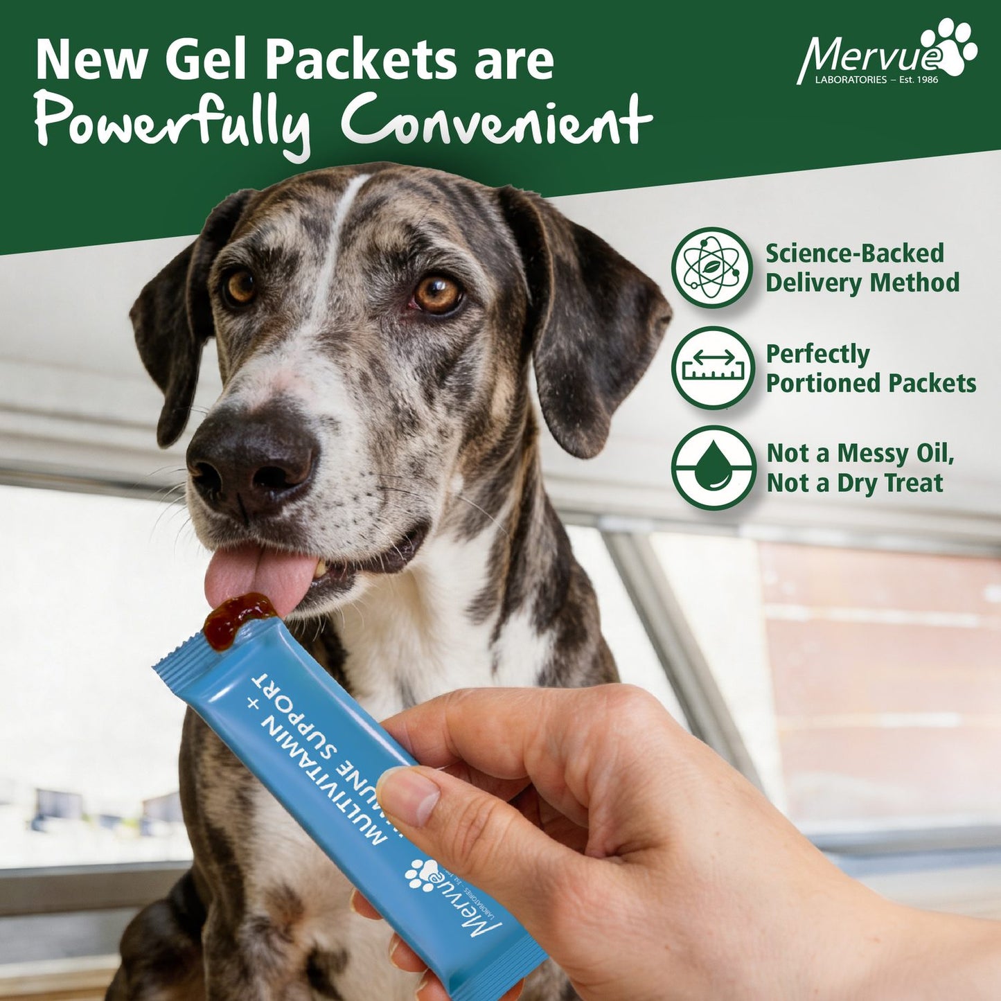 Multivitamin Immune Support for Dogs - Daily Liquid Supplement Lifestyle Shot 1