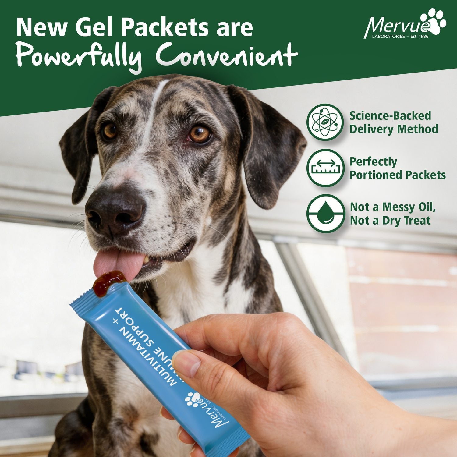 Multivitamin Immune Support for Dogs - Daily Liquid Supplement Lifestyle Shot 1