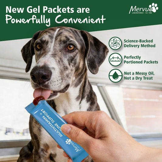 Multivitamin Immune Support for Dogs - Daily Liquid Supplement Lifestyle Shot 1