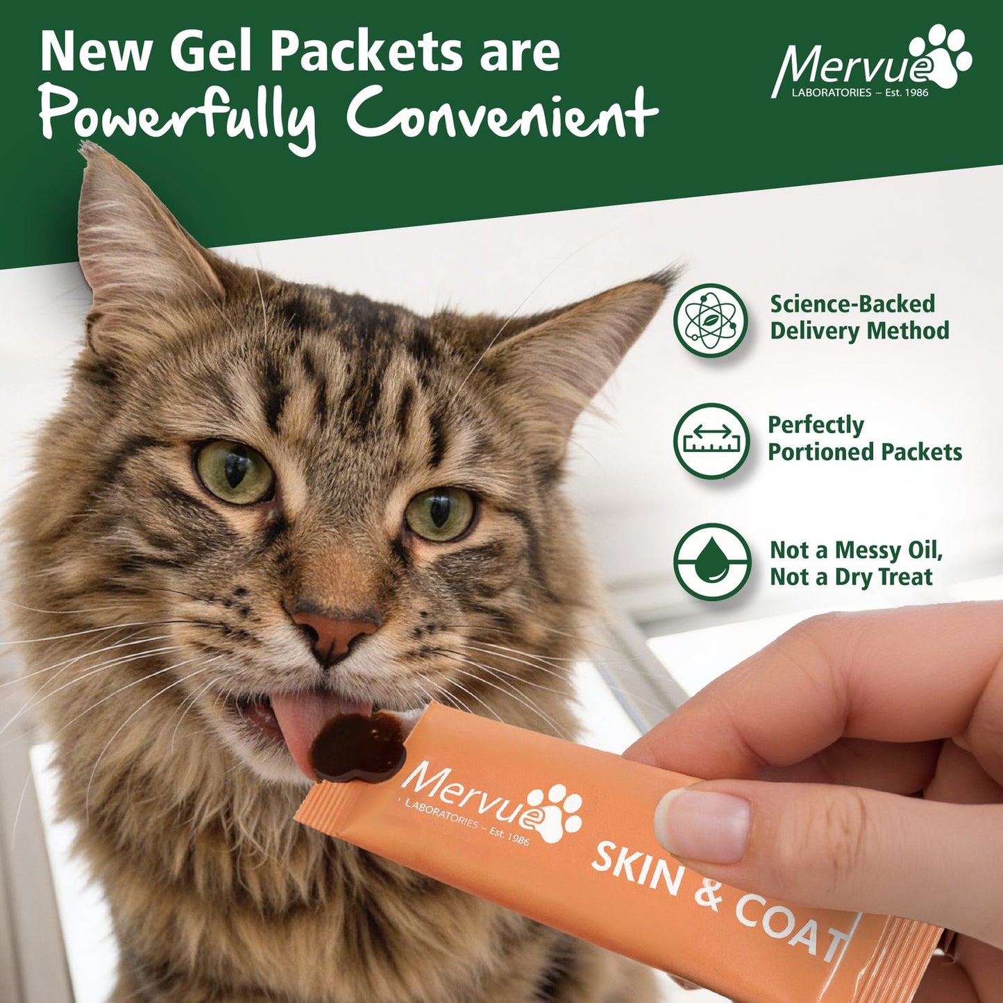 Skin & Coat Support for Cats - Daily Paste Supplement Lifestyle Shot 1