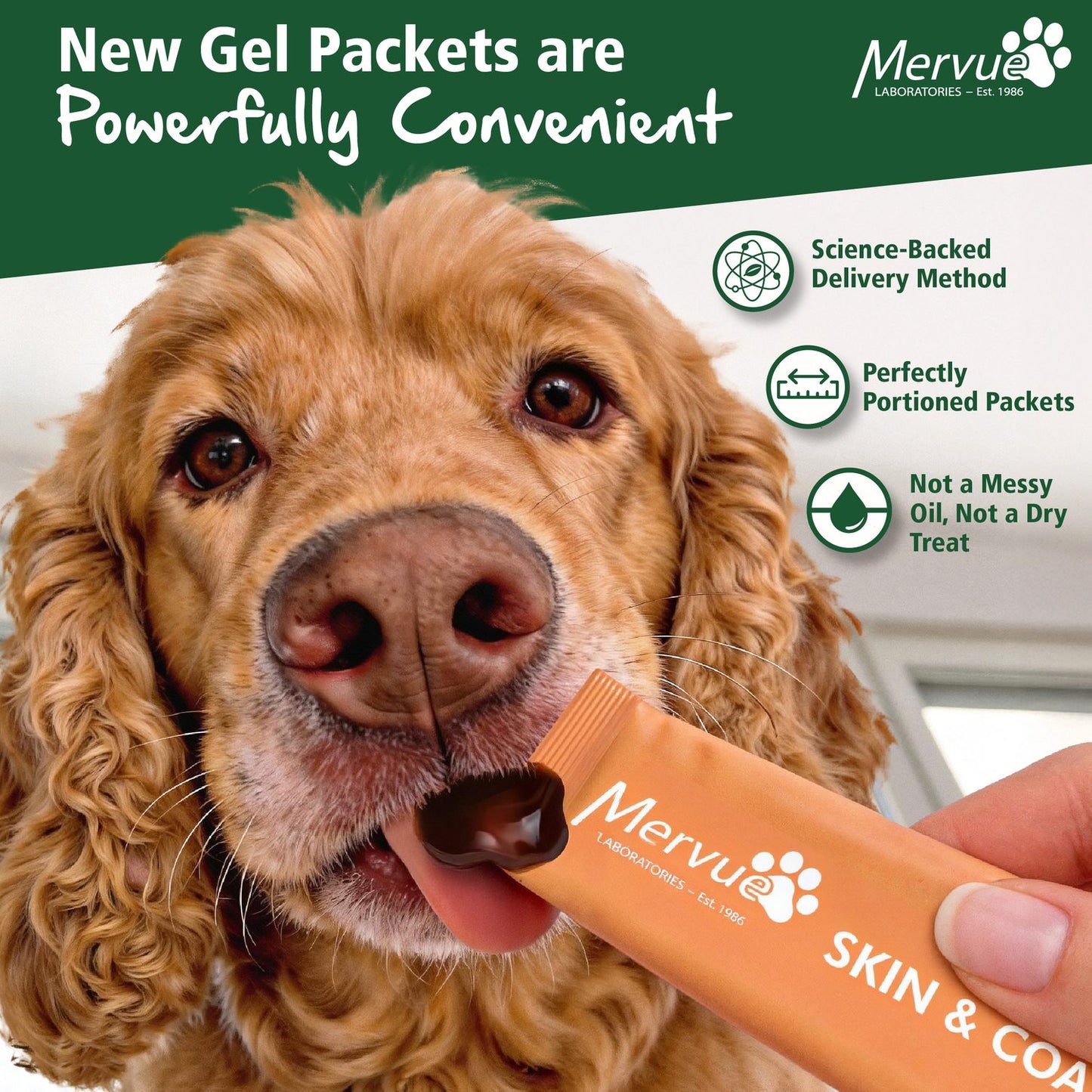 Skin & Coat Support for Dogs - Daily Liquid Supplement Lifestyle Shot 1