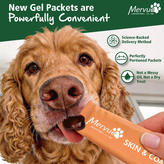 Skin & Coat Support for Dogs - Daily Liquid Supplement Lifestyle Shot 1