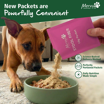 Digestive Stool Support for Dogs - Daily Supplement Lifestyle Shot 1