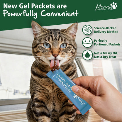 Multivitamin Immune Support for Cats - Daily Paste Supplement Lifestyle Shot 1