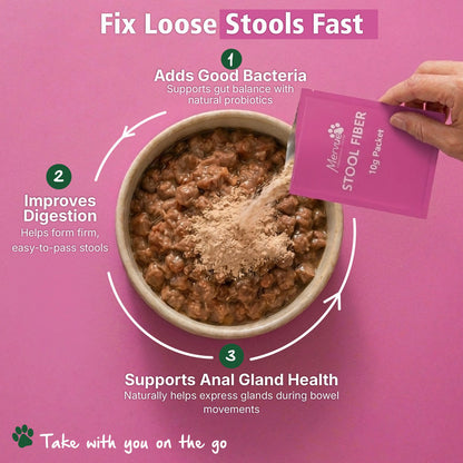Digestive Stool Support for Dogs - Daily Supplement Lifestyle Shot 2
