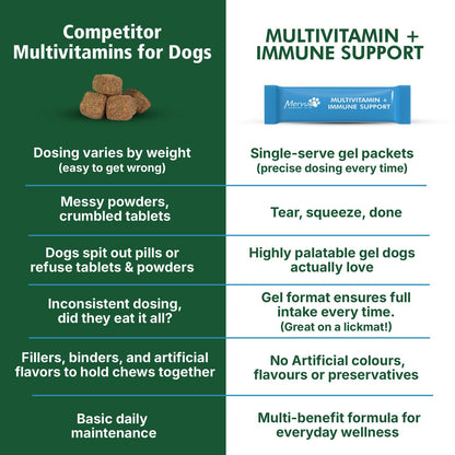 Multivitamin Immune Support for Dogs - Daily Liquid Supplement Lifestyle Shot 3