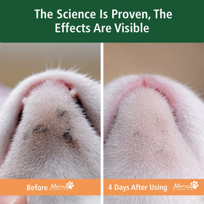 Skin & Coat Support for Cats - Daily Paste Supplement Lifestyle Shot 3