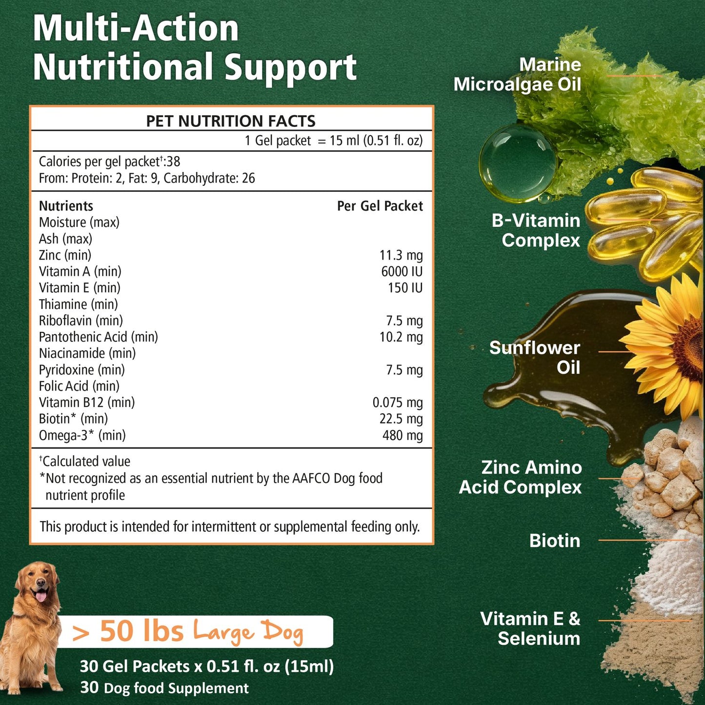Skin & Coat Support for Dogs - Daily Liquid Supplement Lifestyle Shot 4