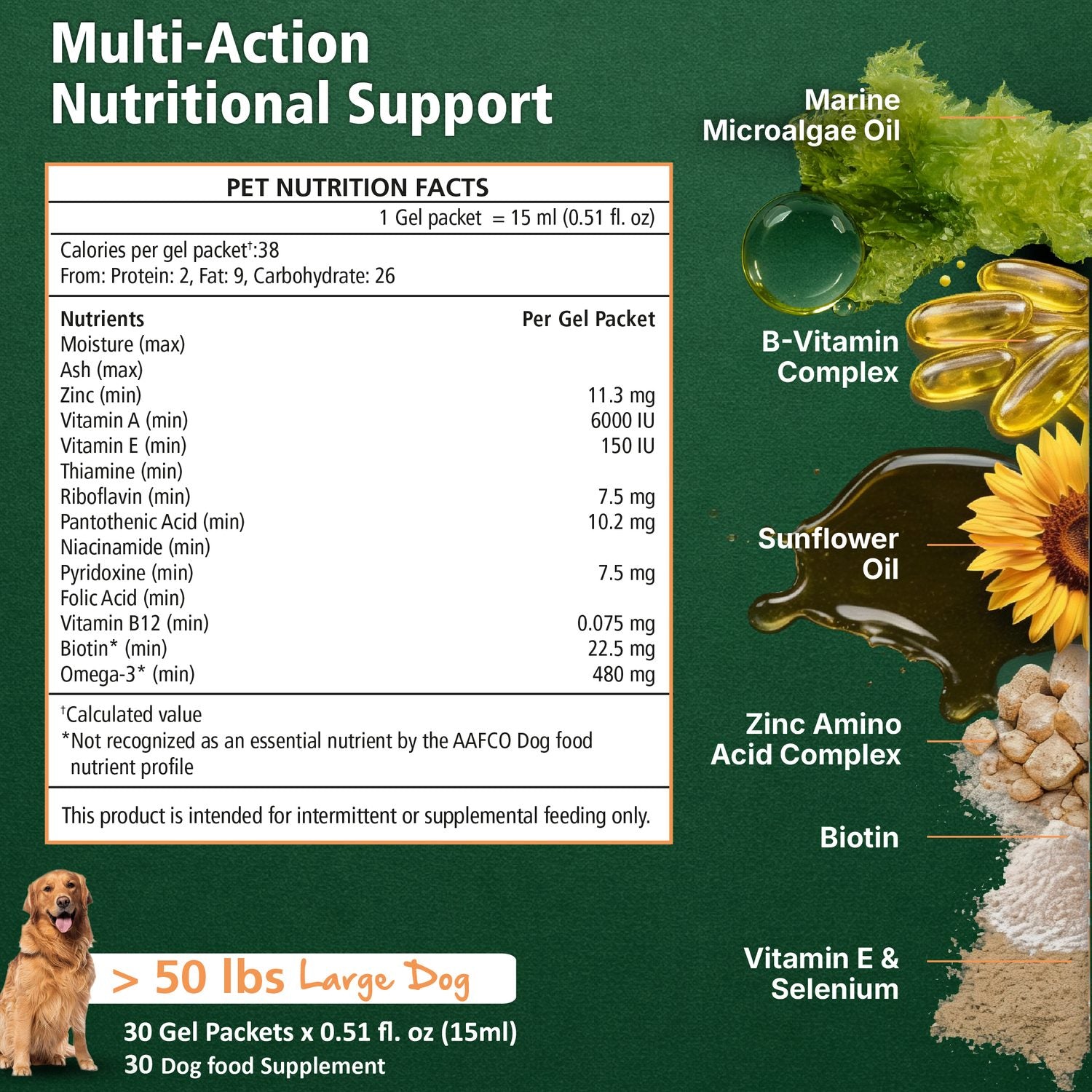 Skin & Coat Support for Dogs - Daily Liquid Supplement Lifestyle Shot 4
