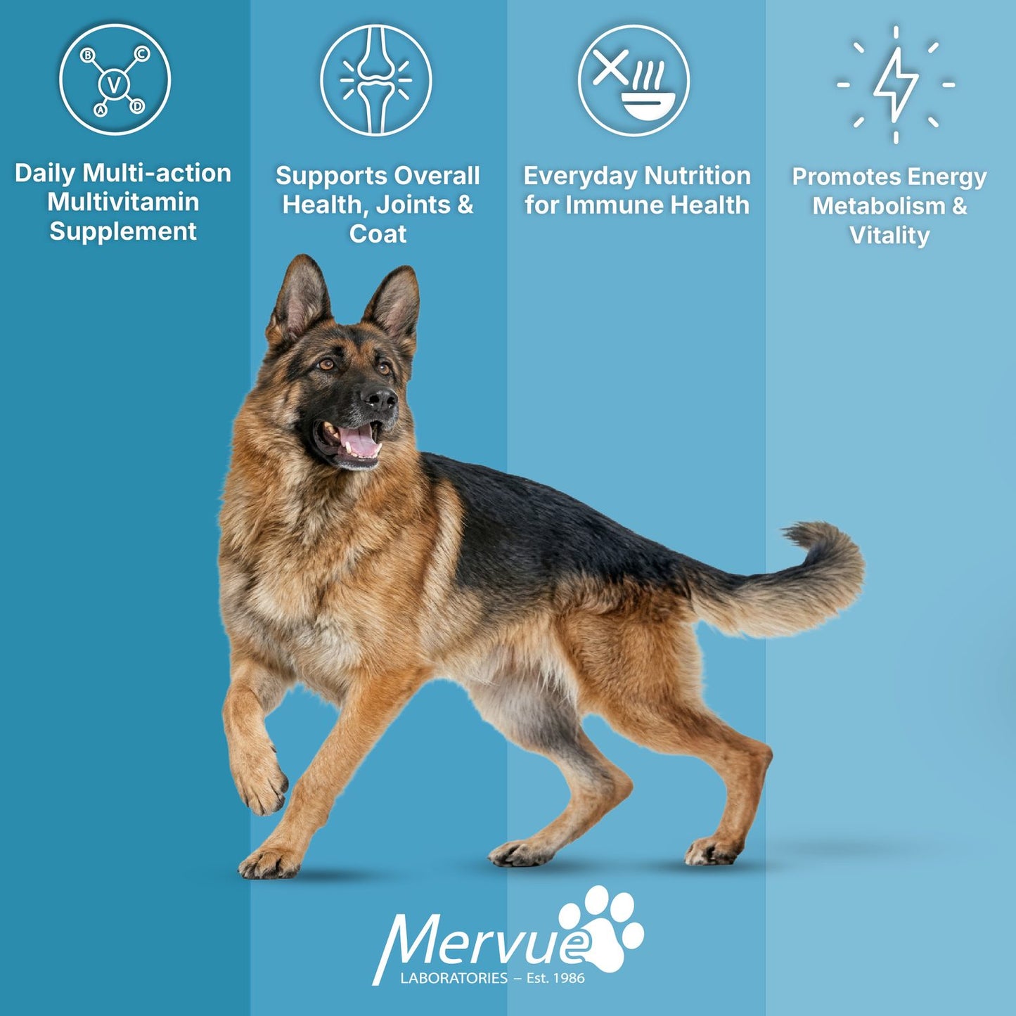 Multivitamin Immune Support for Dogs - Daily Liquid Supplement Lifestyle Shot 5