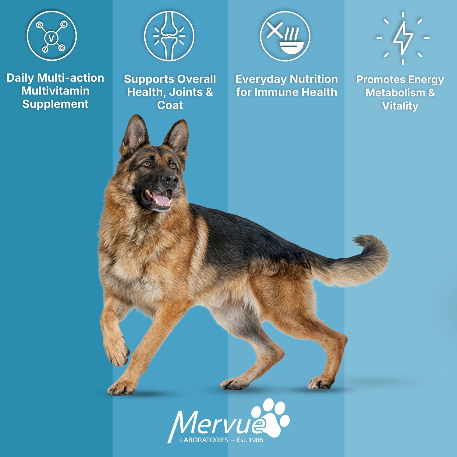 Multivitamin Immune Support for Dogs - Daily Liquid Supplement Lifestyle Shot 5