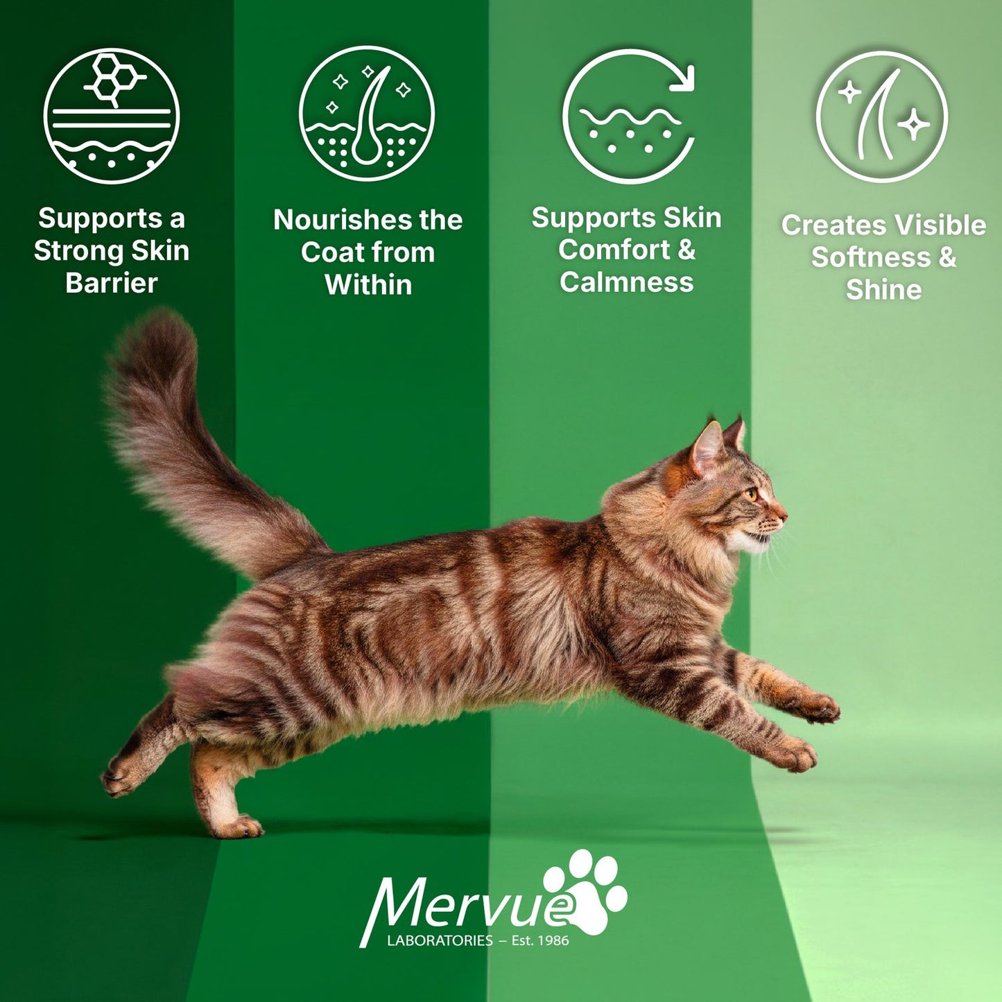 Skin & Coat Support for Cats - Daily Paste Supplement Lifestyle Shot 5