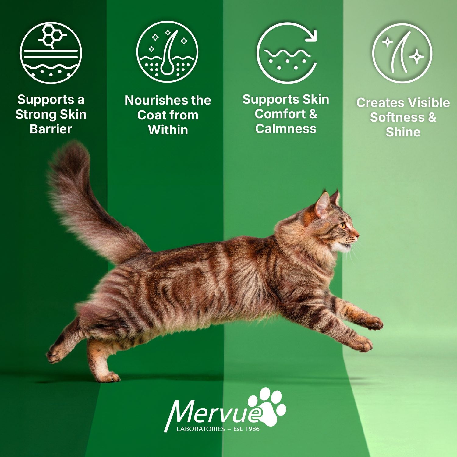 Skin & Coat Support for Cats - Daily Paste Supplement Lifestyle Shot 5