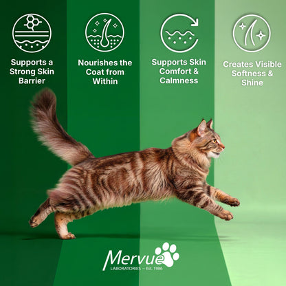 Skin & Coat Support for Cats - Daily Paste Supplement Lifestyle Shot 5