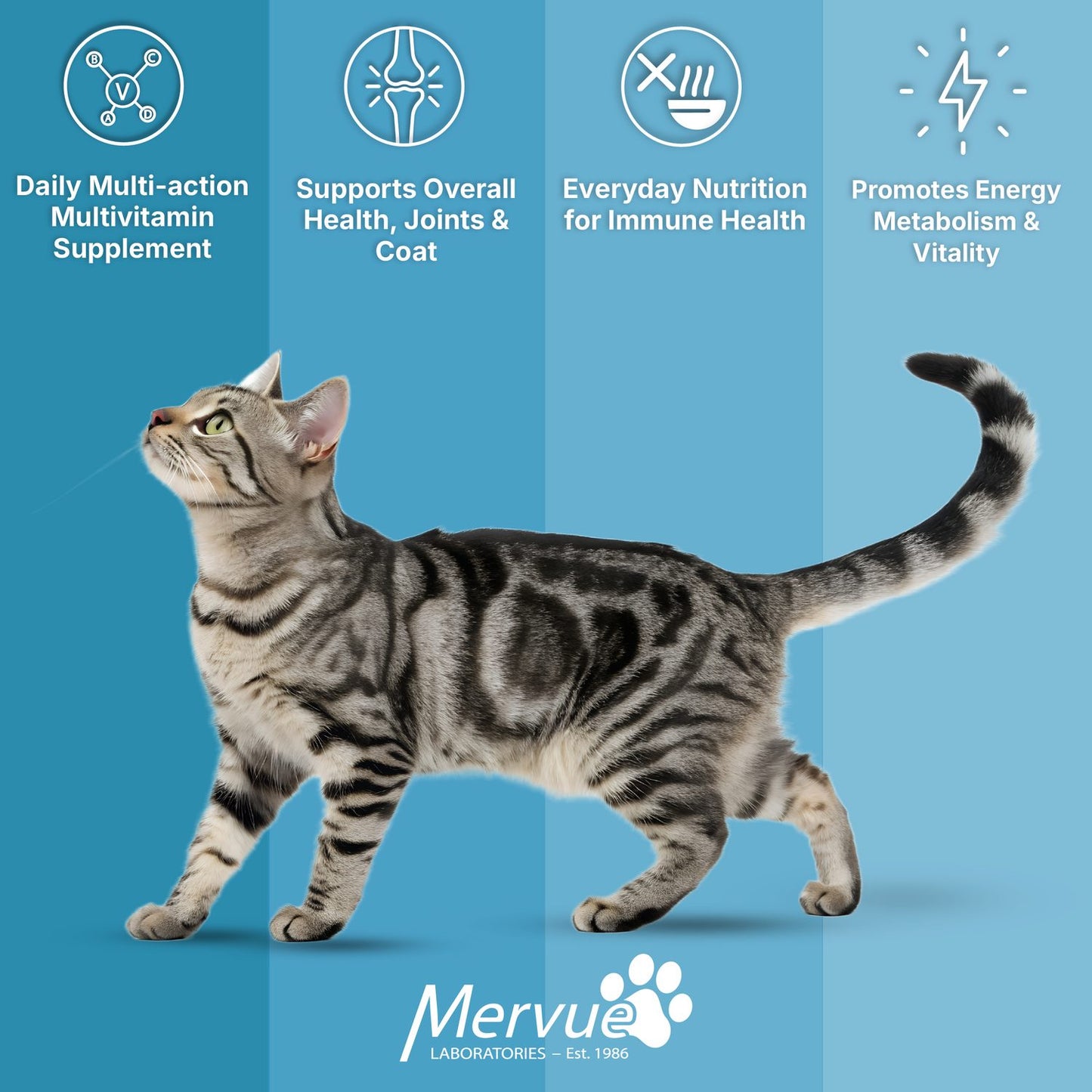 Multivitamin Immune Support for Cats - Daily Paste Supplement Lifestyle Shot 5
