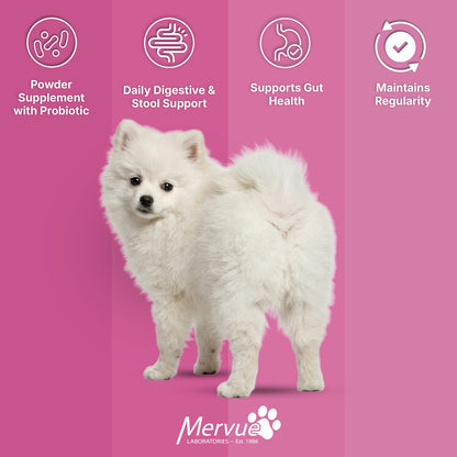 Digestive Stool Support for Dogs - Daily Supplement Lifestyle Shot 5