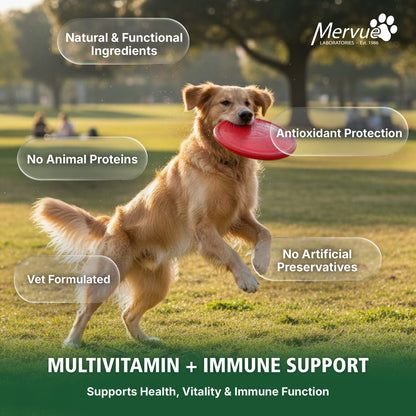 Multivitamin Immune Support for Dogs - Daily Liquid Supplement Lifestyle Shot 6