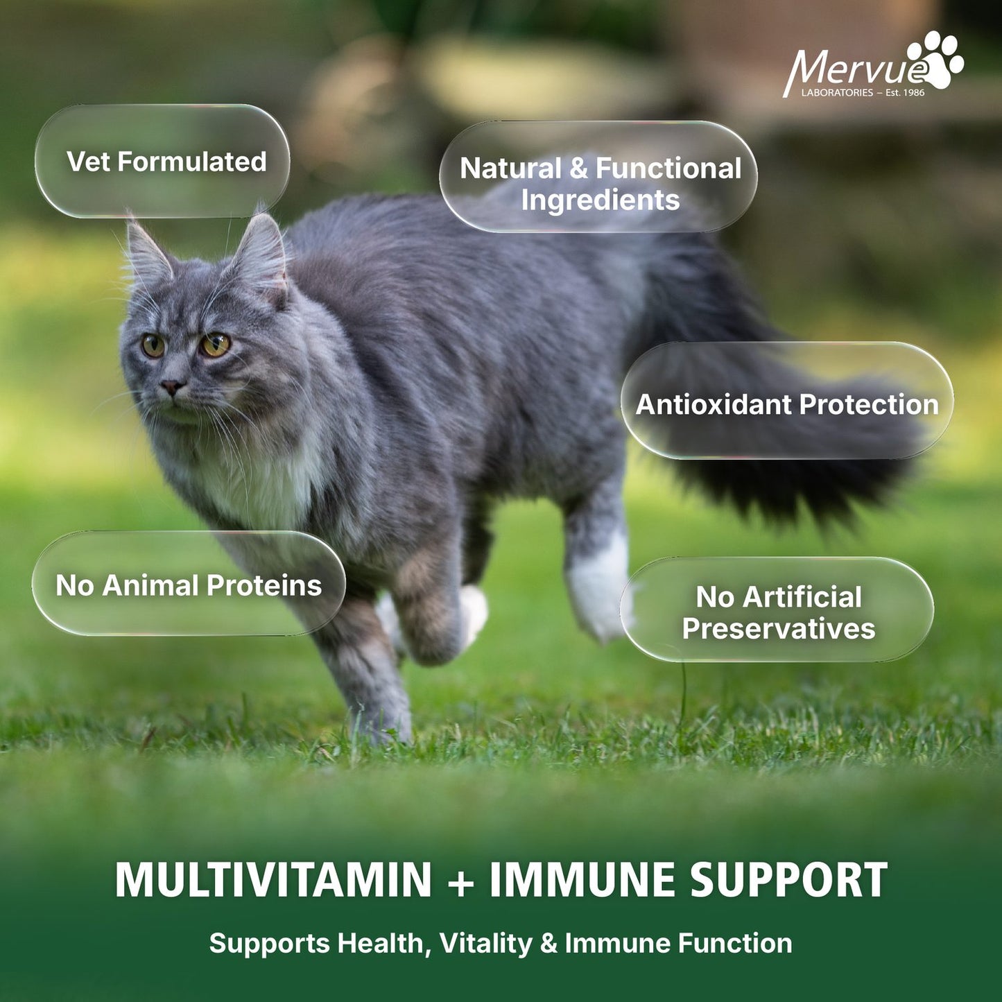 Multivitamin Immune Support for Cats - Daily Paste Supplement Lifestyle Shot 6