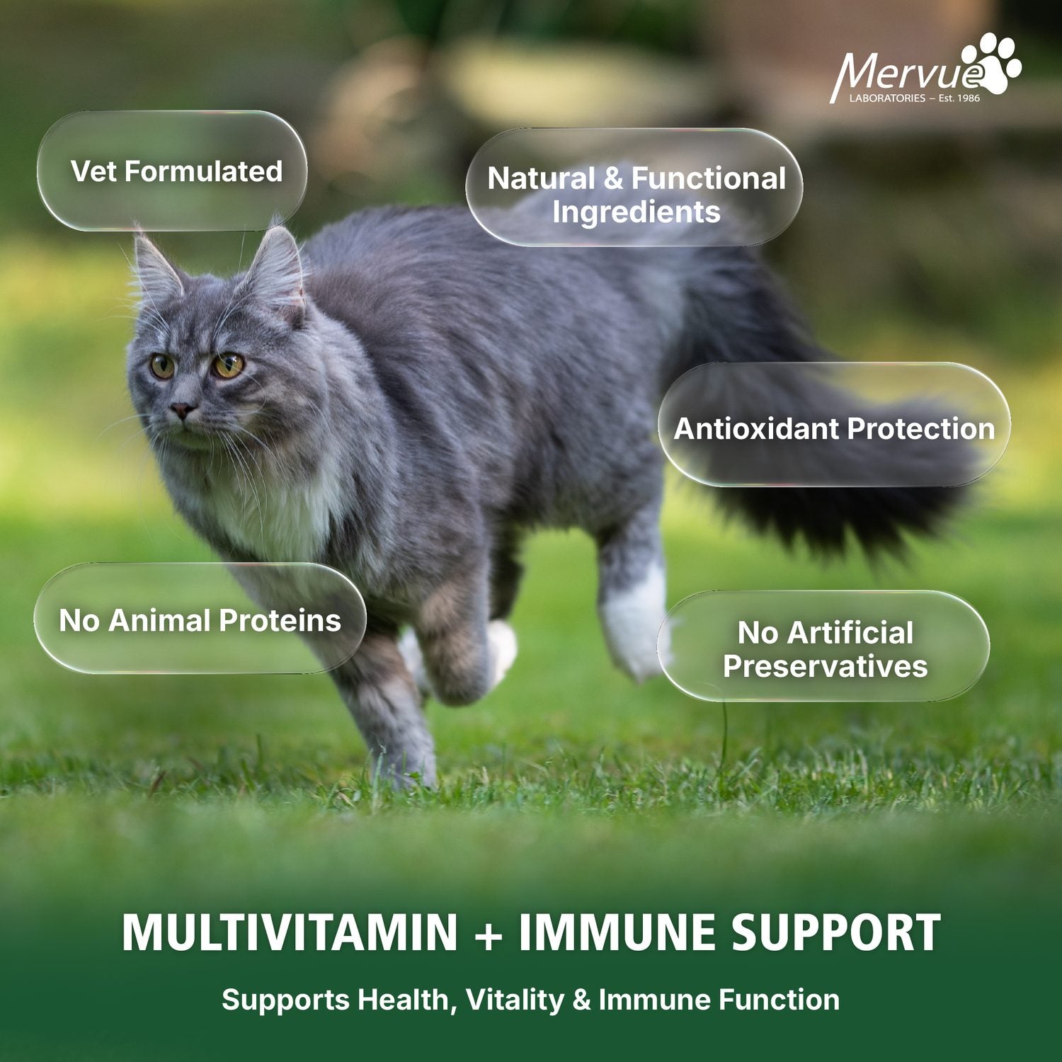 Multivitamin Immune Support for Cats - Daily Paste Supplement Lifestyle Shot 6