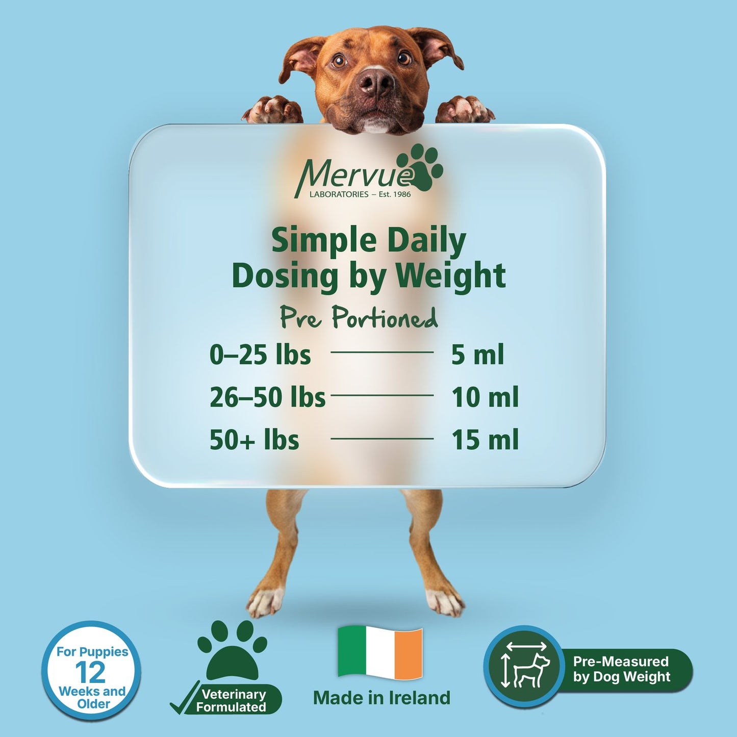 Multivitamin Immune Support for Dogs - Daily Liquid Supplement Lifestyle Shot 7