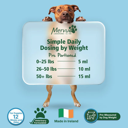 Multivitamin Immune Support for Dogs - Daily Liquid Supplement Lifestyle Shot 7