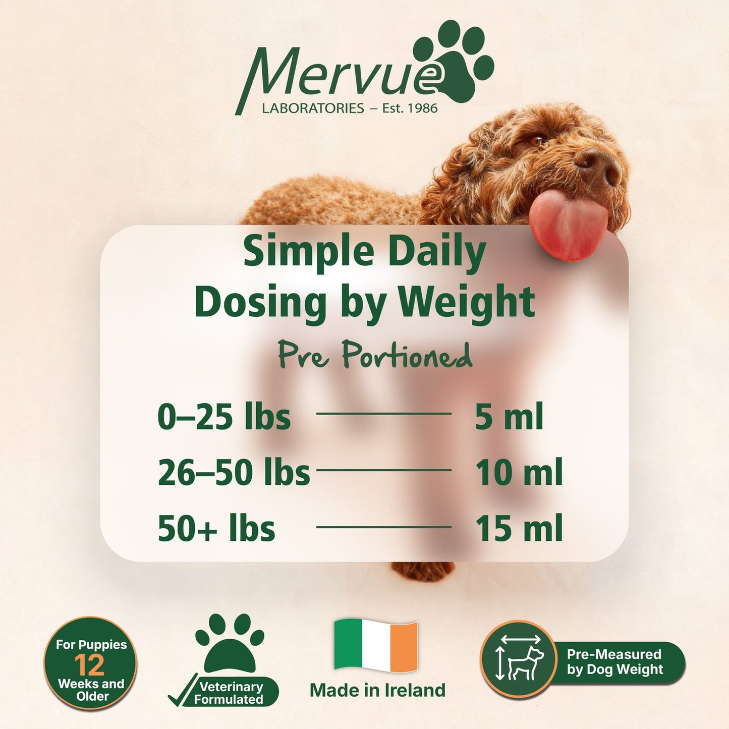 Skin & Coat Support for Dogs - Daily Liquid Supplement Lifestyle Shot 7