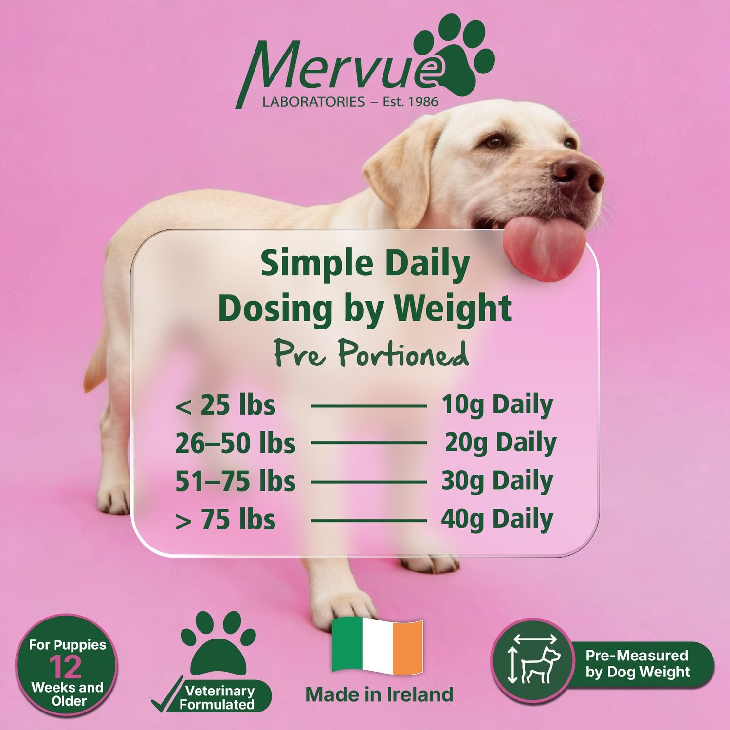 Digestive Stool Support for Dogs - Daily Supplement Lifestyle Shot 7