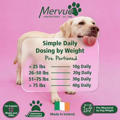 Digestive Stool Support for Dogs - Daily Supplement Lifestyle Shot 7
