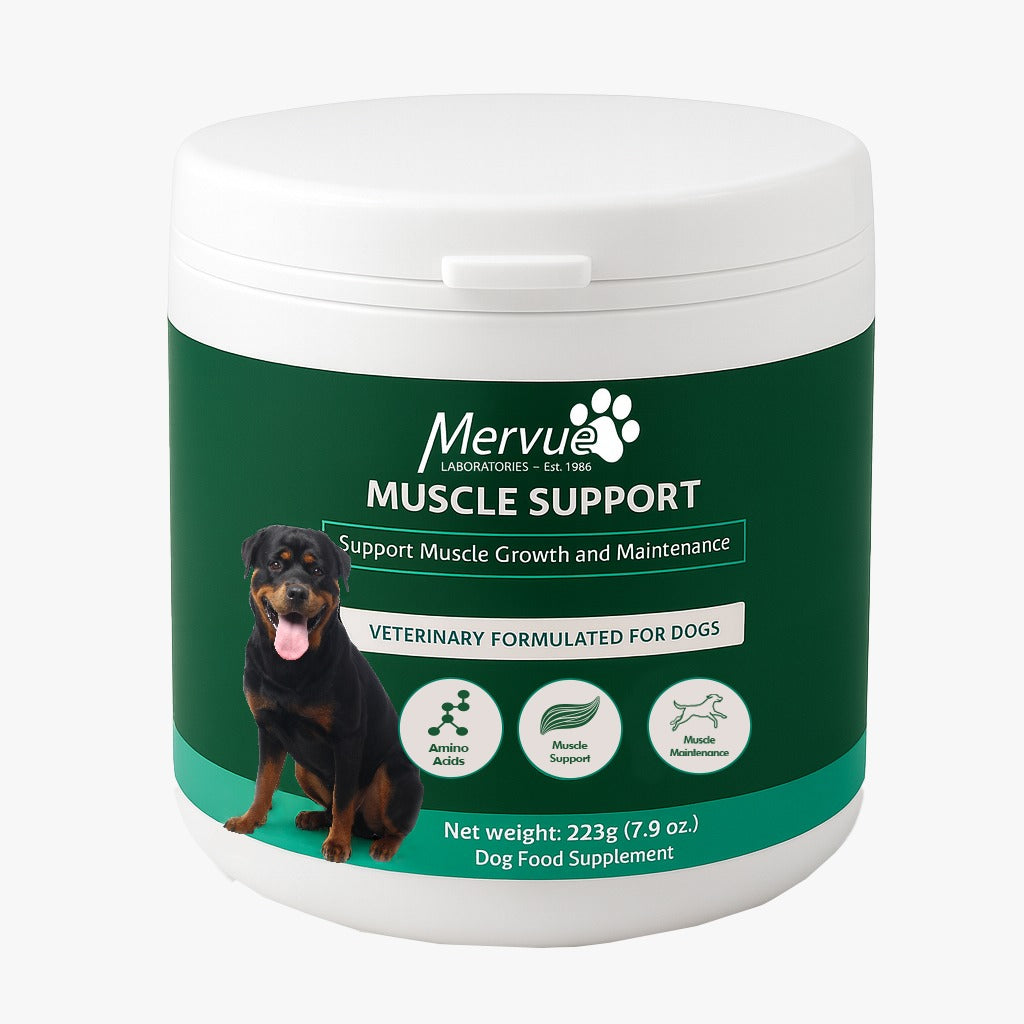 Mervue Muscle Support for Dogs - Targeted muscle growth and maintenance supplement